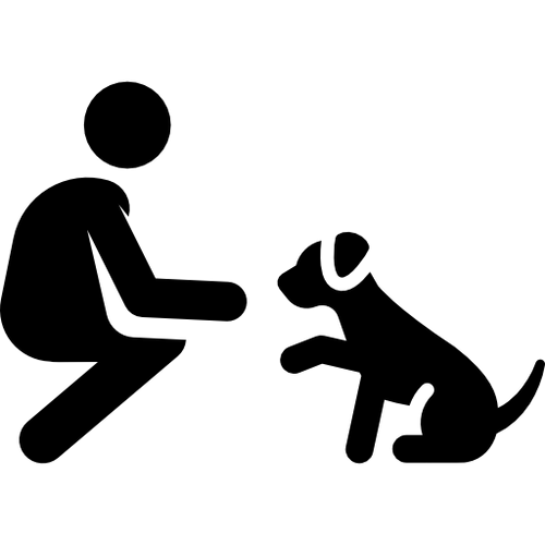 Dog Training Video Course