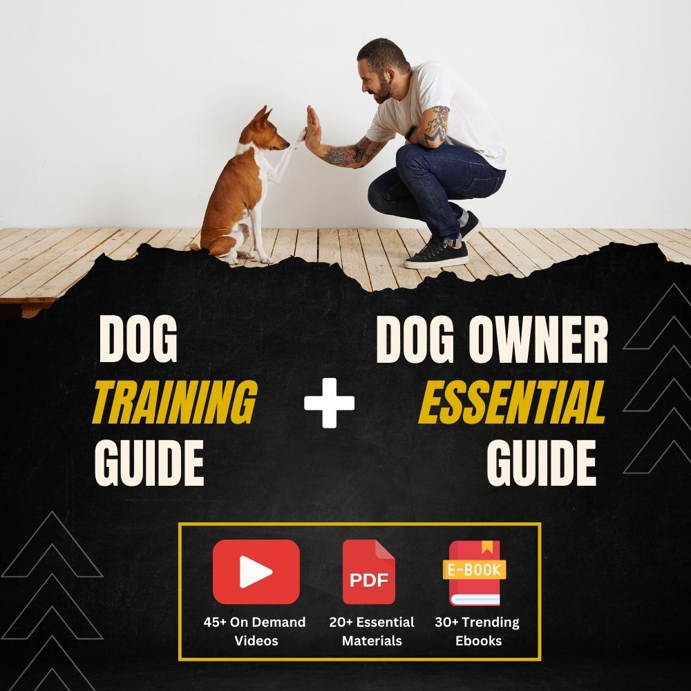 Complete Dog Training Course