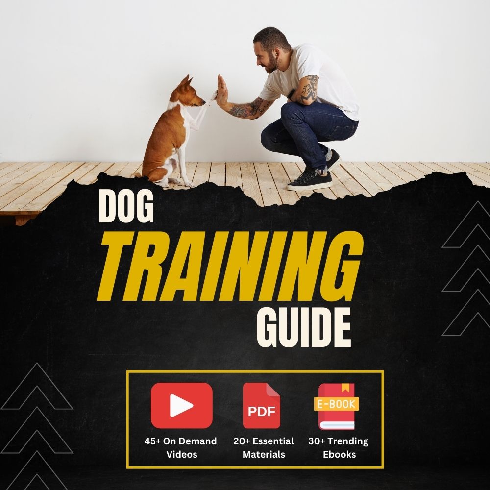 Complete Dog Training Course