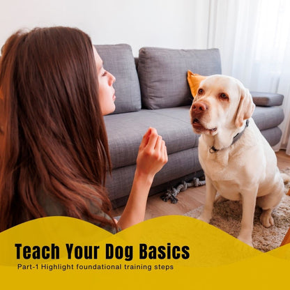 Complete Dog Training Course