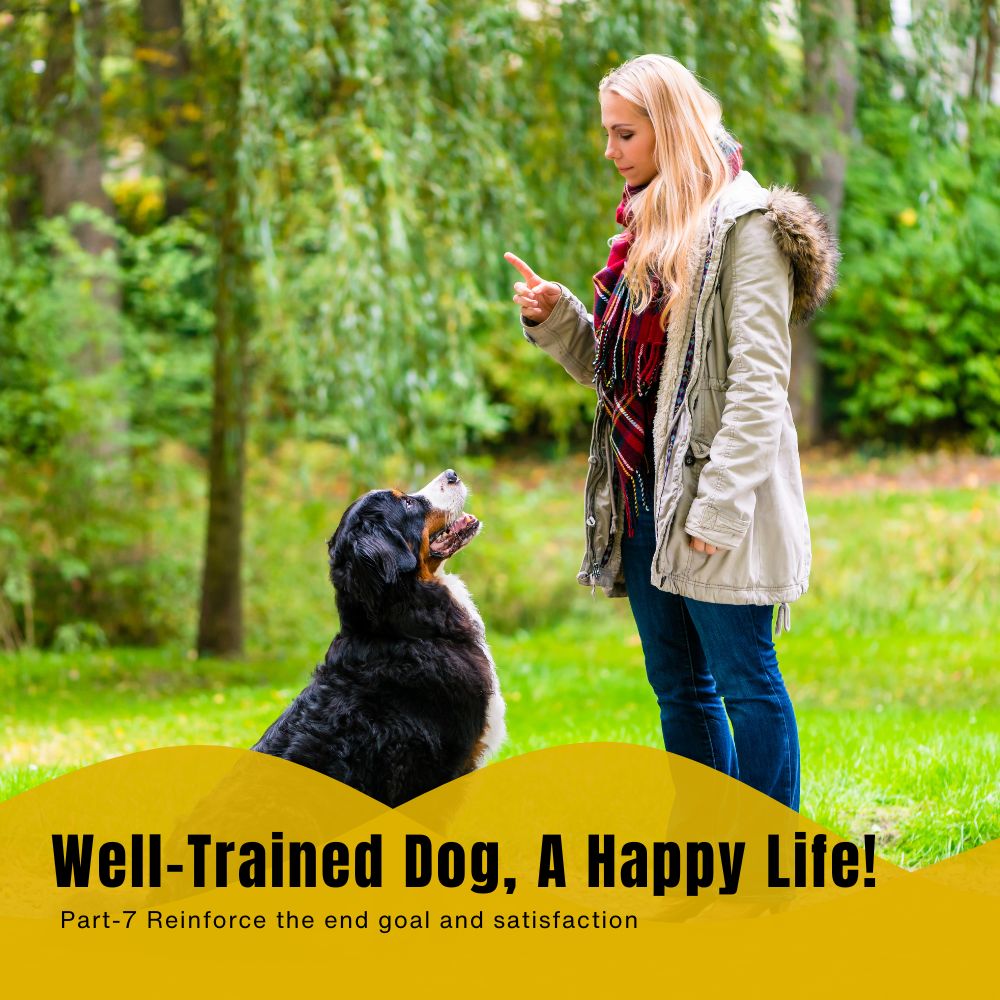 Complete Dog Training Course